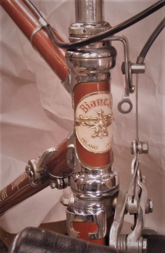 Le biciclette Bianchi