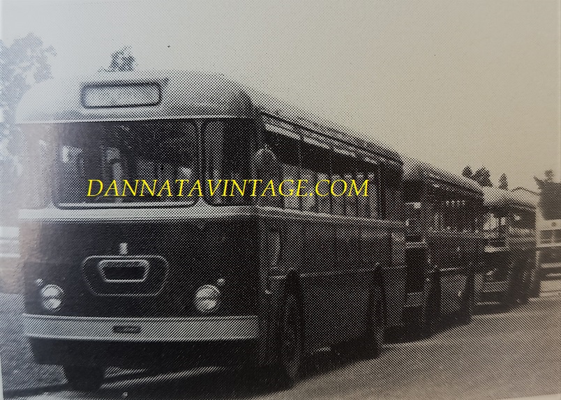 AERFER IMAM, Autobus VE 611 - anno 1960. 